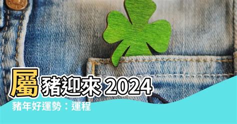 2024 生肖豬|2024年豬年運勢：你的個人成長